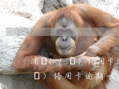浦發(fā)信用卡3天算逾期嗎（浦發(fā)信用卡逾期一次嚴(yán)重）