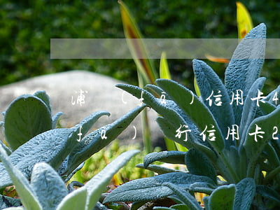 浦發(fā)信用卡4千逾期20天(浦發(fā)銀行信用卡20萬(wàn)逾期一年說(shuō)通過(guò)法律程序追討)