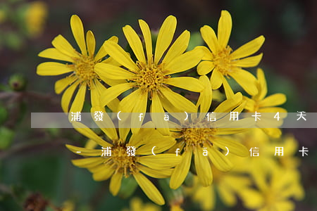 浦發(fā)信用卡4天算逾期嗎會上門嗎-浦發(fā)信用卡4天算逾期嗎會上門嗎知乎