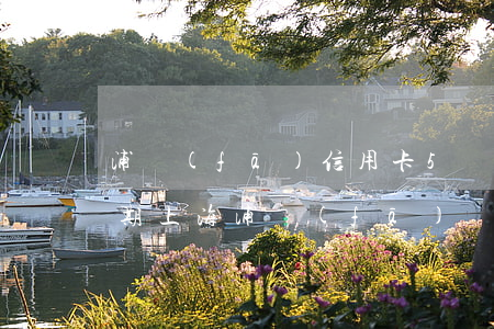 浦發(fā)信用卡5萬(wàn)以上逾期(上海浦發(fā)銀行信用卡欠款五萬(wàn)逾期三個(gè)月)