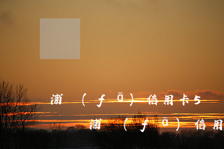 浦發(fā)信用卡5萬(wàn)逾期打電話（浦發(fā)信用卡逾期工作人員上門(mén)招商）