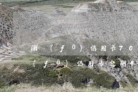 浦發(fā)信用卡7000分24期（浦發(fā)信用卡逾期4萬張到7萬）