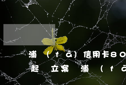浦發(fā)信用卡8000元逾期一年,會起訴立案嗎（浦發(fā)銀行信用卡逾期起訴會怎樣）
