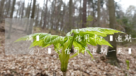 浦發(fā)信用卡8塊逾期一天(浦發(fā)銀行信用卡逾期一天會有不良記錄嗎)