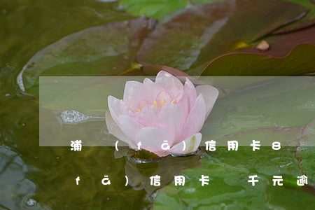 浦發(fā)信用卡8萬逾期六個月（浦發(fā)信用卡幾千元逾期）