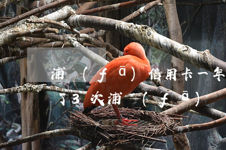浦發(fā)信用卡一年內(nèi)逾期了3次(浦發(fā)銀行信用卡 逾期)