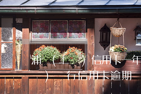 浦發(fā)信用卡一年逾期三天(浦發(fā)銀行信用卡逾期幾天內(nèi)沒事)