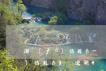 浦發(fā)信用卡一萬4逾期(浦發(fā)信用卡3萬逾期4個月)