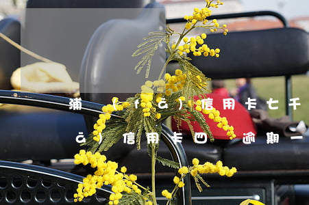 浦發(fā)信用卡七千逾期一年(浦發(fā)信用卡四萬逾期一年)