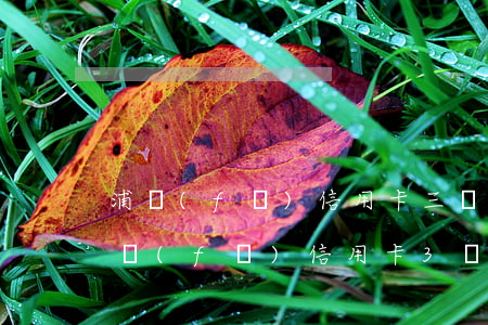 浦發(fā)信用卡三個(gè)月逾期(浦發(fā)信用卡3萬逾期4個(gè)月)