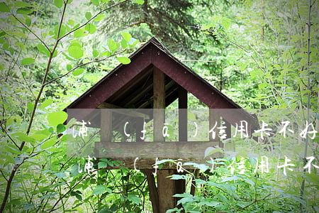 浦發(fā)信用卡不好協(xié)商-浦發(fā)信用卡不好協(xié)商還款嗎