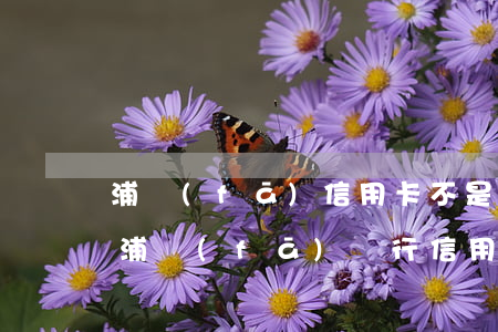 浦發(fā)信用卡不是自己的原因逾期-浦發(fā)銀行信用卡 狀態(tài)異常