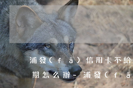 浦發(fā)信用卡不給個(gè)性化分期怎么辦-浦發(fā)信用卡不給個(gè)性化分期怎么辦呢