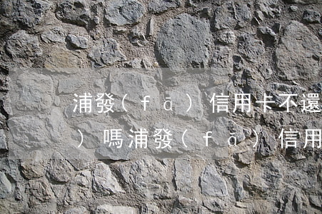浦發(fā)信用卡不還有危險(xiǎn)嗎(浦發(fā)信用卡不還有危險(xiǎn)嗎)
