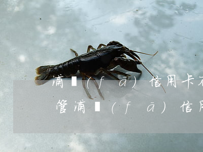 浦發(fā)信用卡不還歸誰(shuí)管(浦發(fā)信用卡沒(méi)用過(guò)為什么要還款)