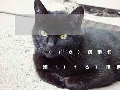 浦發(fā)信用卡丟失逾期被凍結怎么辦-浦發(fā)信用卡丟失逾期被凍結怎么辦理