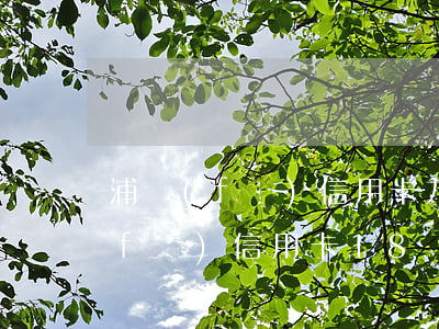 浦發(fā)信用卡九萬逾期六個月(浦發(fā)信用卡18萬逾期1年)