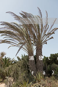 浦發(fā)信用卡九萬逾期四萬多(浦發(fā)信用卡6000元逾期兩年)