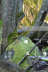 浦發(fā)信用卡二次逾期后果(浦發(fā)信用卡二次逾期后果)
