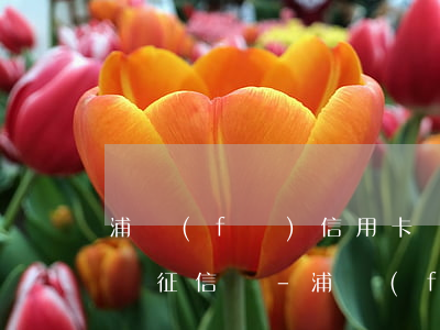 浦發(fā)信用卡個(gè)性化分期影響征信嗎-浦發(fā)信用卡個(gè)性化分期影響征信嗎