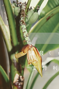 浦發(fā)信用卡個(gè)性化分期要支付利息-浦發(fā)個(gè)性化分期收利息嗎