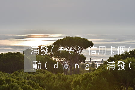 浦發(fā)信用卡個(gè)性化還款活動(dòng)(浦發(fā)銀行辦卡活動(dòng))