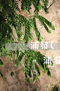 浦發(fā)信用卡個性化分期容易通過嗎-浦發(fā)信用卡個性化分期容易通過嗎安全嗎