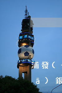 浦發(fā)信用卡停息掛賬錄音(浦發(fā)銀行放款)