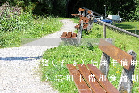 浦發(fā)信用卡備用金逾期了(浦發(fā)信用卡備用金逾期了要這么解決)