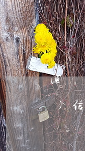 浦發(fā)信用卡備用金逾期(浦發(fā)信用卡備用金逾期可以協(xié)商還款嗎)