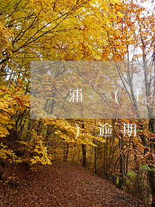 浦發(fā)信用卡催得太緊了 浦發(fā)逾期幾天催收要我把欠款還清合理嗎