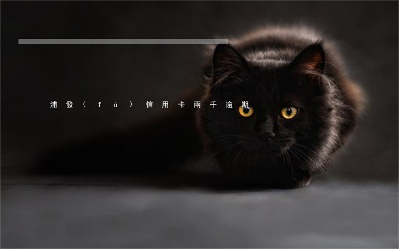 浦發(fā)信用卡兩千逾期