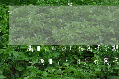 浦發(fā)信用卡分期以后還不上怎么辦-浦發(fā)信用卡分期以后還不上怎么辦呢
