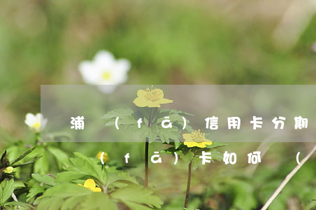 浦發(fā)信用卡分期協(xié)商(浦發(fā)卡如何協(xié)商分期)