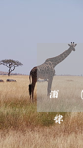 浦發(fā)信用卡分期手續(xù)費法律認(rèn)可嗎-浦發(fā)信用卡分期手續(xù)費法律認(rèn)可嗎是真的嗎