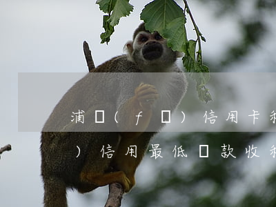 浦發(fā)信用卡利息扣額度 浦發(fā)信用最低還款收利息嗎