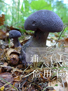 浦發(fā)信用卡利息減免(浦發(fā)信用卡利息減免申請)