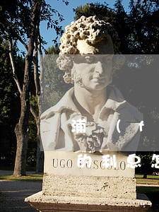 浦發(fā)信用卡利息高嗎(浦發(fā)的利息怎么算)