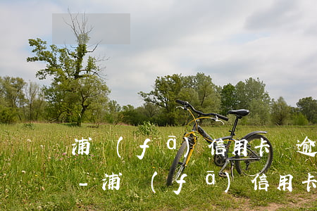 浦發(fā)信用卡剛逾期申請個性化分期-浦發(fā)信用卡剛逾期申請個性化分期有影響嗎
