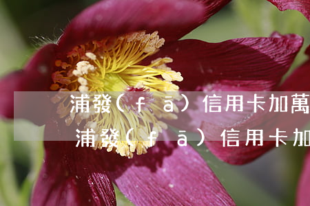 浦發(fā)信用卡加萬傭金12萬逾期-浦發(fā)信用卡加萬傭金12萬逾期怎么辦