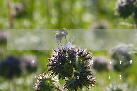 浦發(fā)信用卡千用金逾期(浦發(fā)信用卡逾期還完了為什么還要還萬用金)