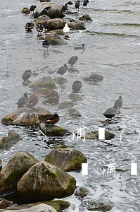 浦發(fā)信用卡協(xié)商停息掛賬(浦發(fā)怎么協(xié)商停息掛賬)