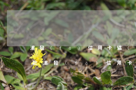 浦發(fā)信用卡協(xié)商分期還款(浦發(fā)信用卡協(xié)商分期還款后想提前還款怎么弄)