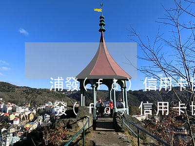 浦發(fā)信用卡協(xié)商征信(浦發(fā)信用卡協(xié)商征信多久更新)