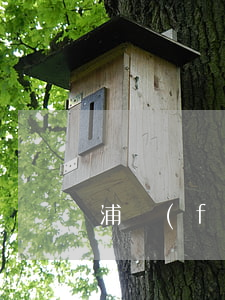 浦發(fā)信用卡協(xié)商成功