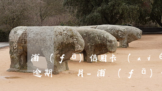 浦發(fā)信用卡協(xié)商成功后逾期兩個月-浦發(fā)信用卡協(xié)商成功后逾期兩個月會怎么樣