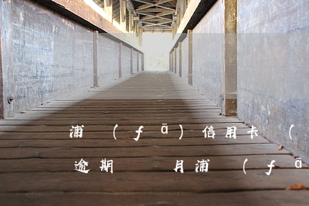 浦發(fā)信用卡協(xié)商成功后逾期兩個月 浦發(fā)信用卡協(xié)商成功后逾期兩個月了