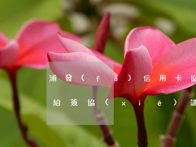 浦發(fā)信用卡協(xié)商還款不給簽協(xié)議嗎-浦發(fā)信用卡協(xié)商還款不給簽協(xié)議嗎怎么辦