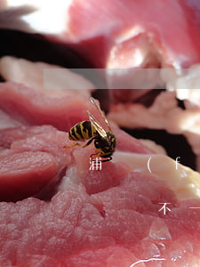 浦發(fā)信用卡協(xié)商還款和賬單不一致-浦發(fā)信用卡協(xié)商還款和賬單不一致怎么辦