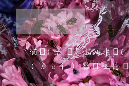 浦發(fā)信用卡協(xié)商還款會(huì)影響征信嗎-浦發(fā)信用卡協(xié)商還款會(huì)影響征信嗎知乎